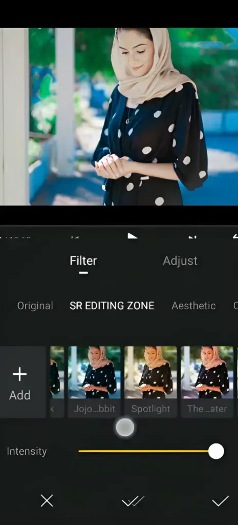 FIlters to choose fro  that matches your video correctly