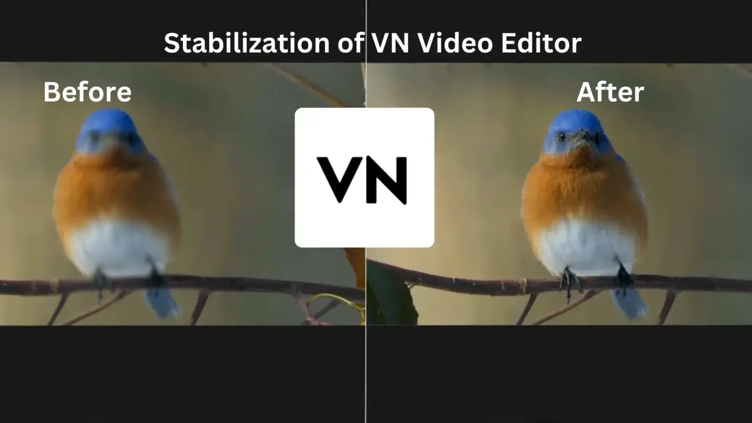 VN Video Editor stabilization