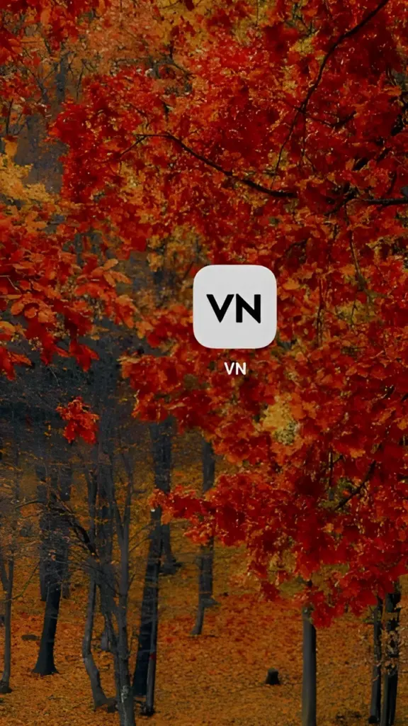 VN Video editor app on mobile phone